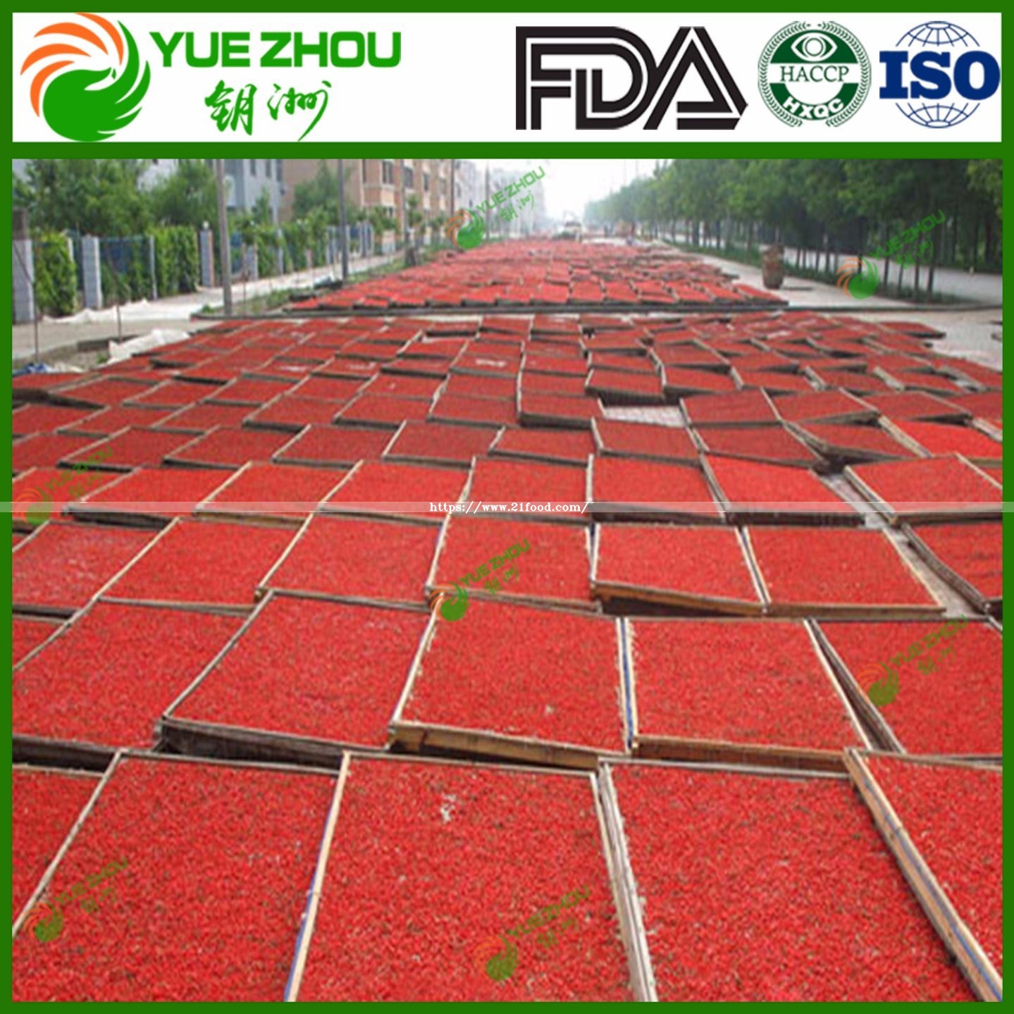 2018 New Crop Goji Berry with Cheap Price From China