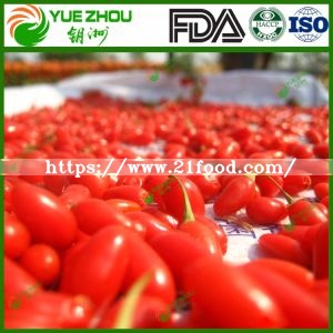 2018 New Crop Goji Berry with Cheap Price From China