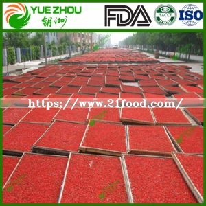High Quality Ningxia Goji Berry for Sale From China