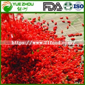 High Quality Ningxia Goji Berry for Sale From China