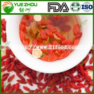 Supply Ningxia Goji Berry with High Quality and Reasonable Price