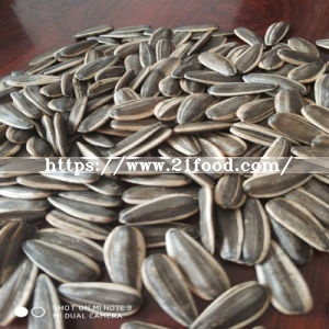 Sunflower Seed with Hulls