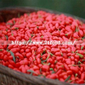 Dried Style Wolfberry Goji Berry