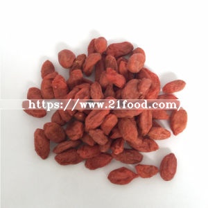 Chinese Goji Berries Supplier