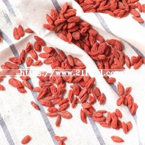 Chinese Goji Berries Supplier