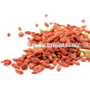 Chinese Goji Berries Supplier