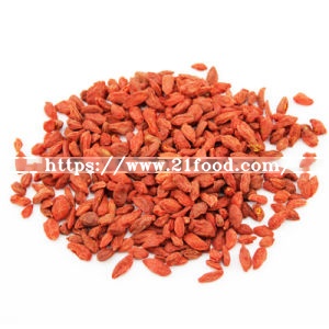 Chinese Goji Berries Supplier