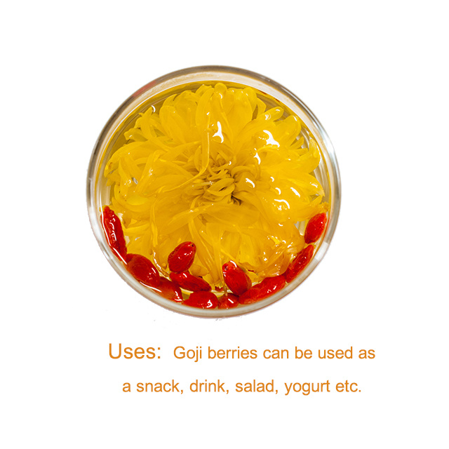 Lycium Barbarum, Red Goji, Chinese Wolfberries