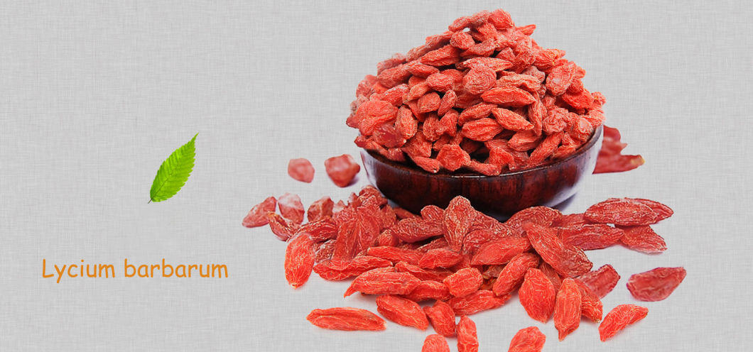 Lycium Barbarum, Red Goji, Chinese Wolfberries
