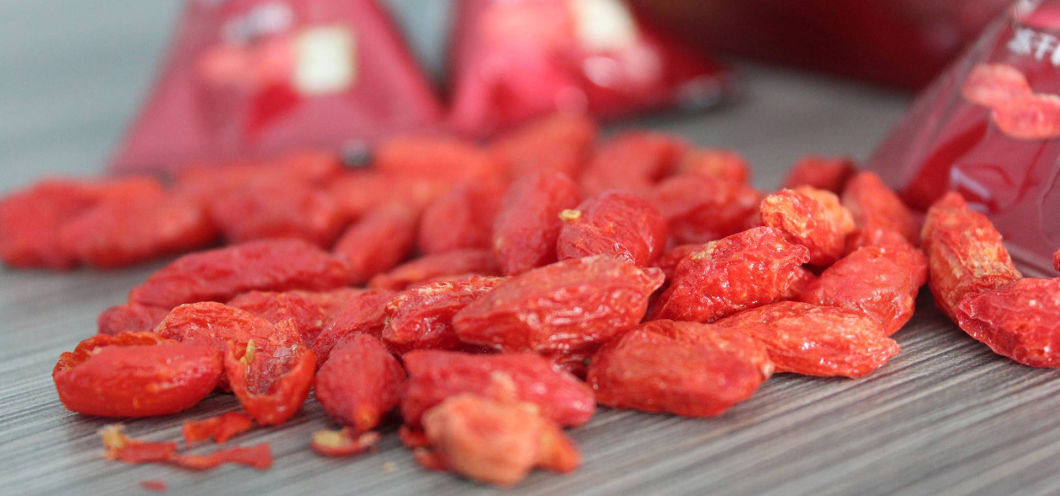 Lycium Barbarum, Red Goji, Chinese Wolfberries