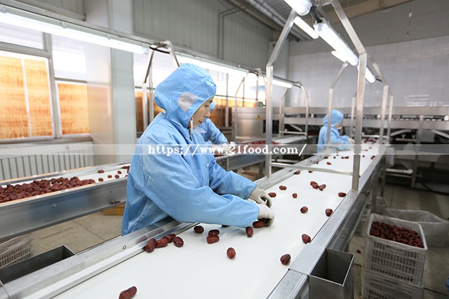Best Price Super Sweet Date Jujube Xinjiang Hetian Red Date Sweet Jujube