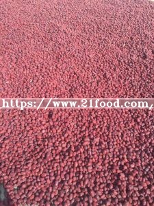 Chinese Red Dates with Walnut Kernels Jujube with Walnuts Kernels Jujube Snacks