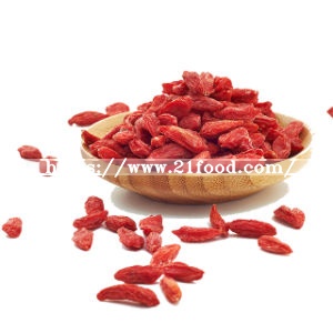 Lycium Barbarum, Red Goji, Chinese Wolfberries