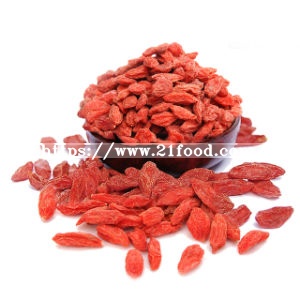 Lycium Barbarum, Red Goji, Chinese Wolfberries