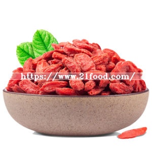 Lycium Barbarum, Red Goji, Chinese Wolfberries