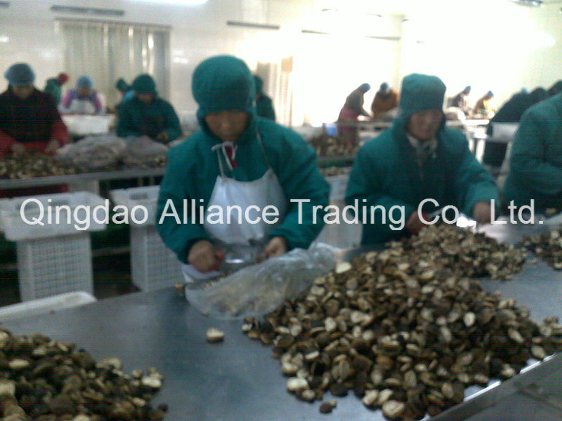 Frozen Nameko Shiitake Oyster Mushroom Mixed Mushroom