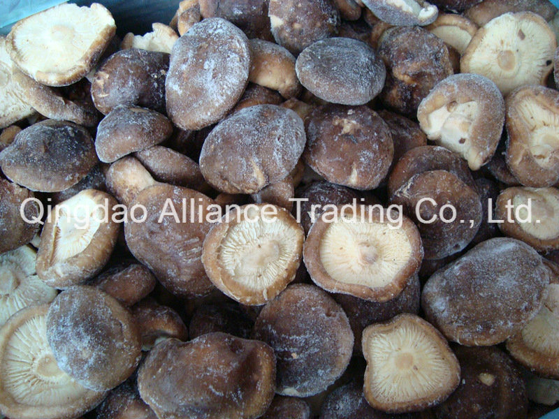 Frozen Nameko Shiitake Oyster Mushroom Mixed Mushroom