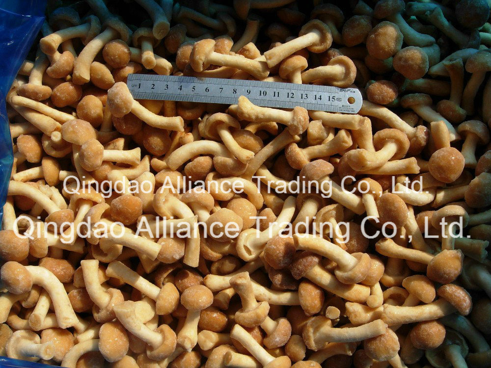 Frozen Nameko Shiitake Oyster Mushroom Mixed Mushroom