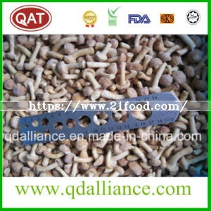 Frozen Nameko Shiitake Oyster Mushroom Mixed Mushroom