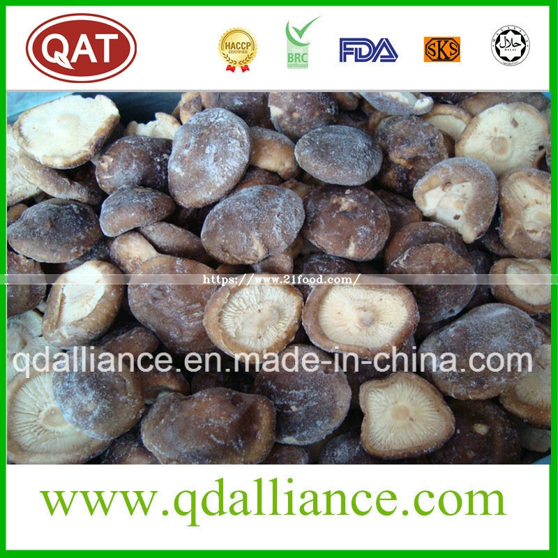 Frozen Nameko Shiitake Oyster Mushroom Mixed Mushroom