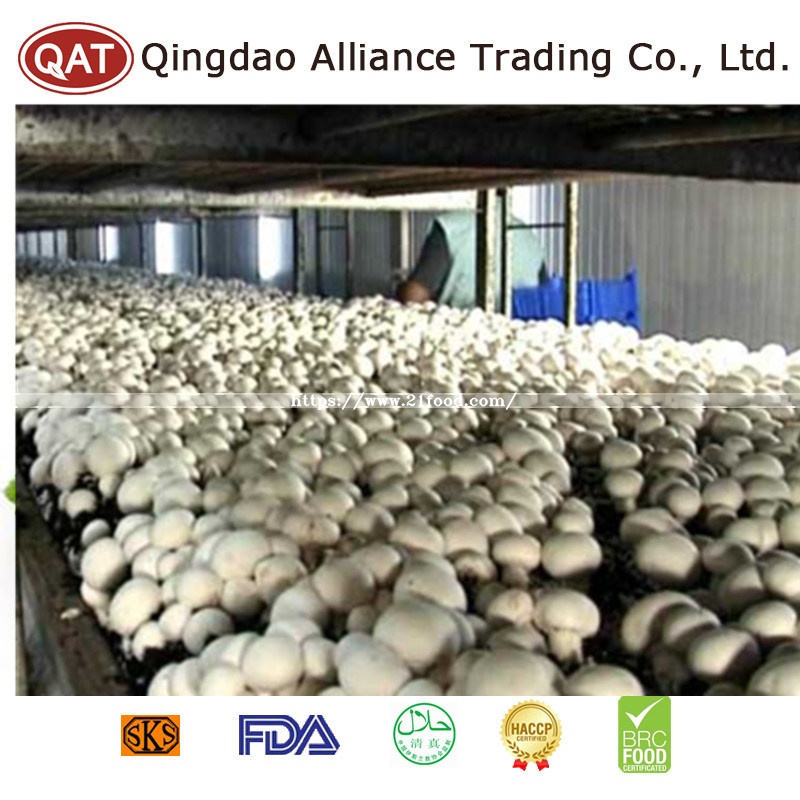 Frozen Whole Champignon Mushroom