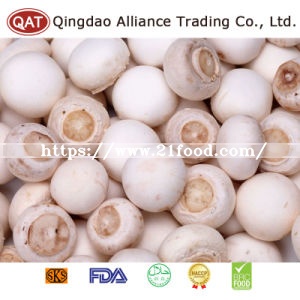 Frozen Whole Champignon Mushroom