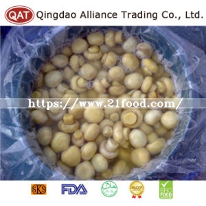 Canned Whole Champignon Mushroom