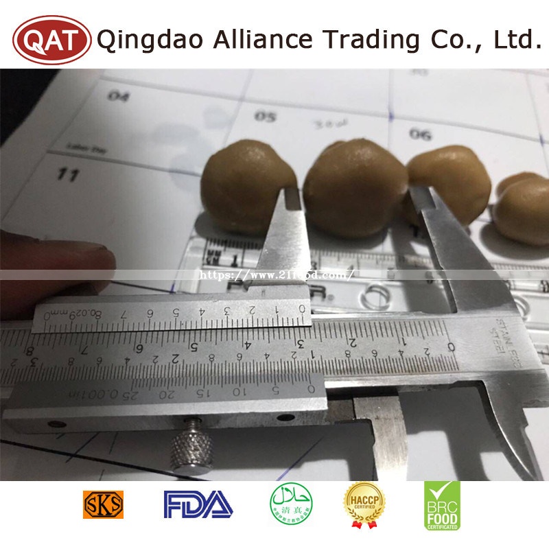 Top Quality Canned Salted Whole Champignon Mushroom