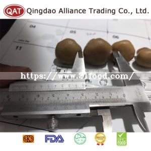 Top Quality Canned Salted Whole Champignon Mushroom