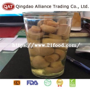 Top Quality Canned Salted Whole Champignon Mushroom