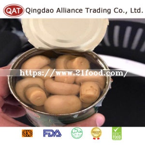 Top Quality Canned Salted Whole Champignon Mushroom