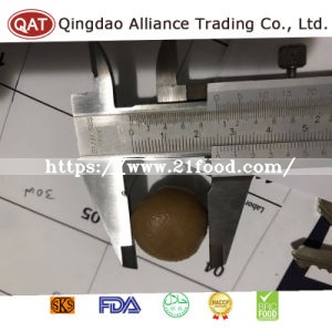 Top Quality Canned Salted Whole Champignon Mushroom