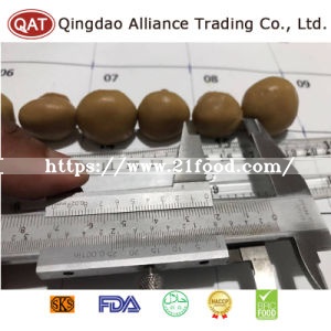 Top Quality Canned Salted Whole Champignon Mushroom