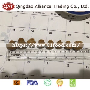 Top Quality Canned Salted Whole Champignon Mushroom