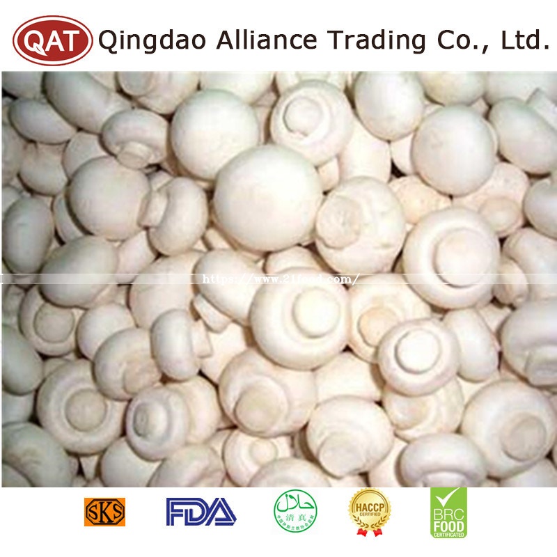 New Crop Frozen Sliced Champignon Mushroom