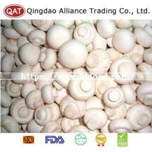 New Crop Frozen Sliced Champignon Mushroom