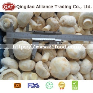New Crop Frozen Sliced Champignon Mushroom