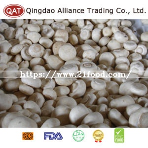 Top Quality Frozen Sliced Champignon Mushroom