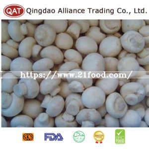 Top Quality Frozen Sliced Champignon Mushroom