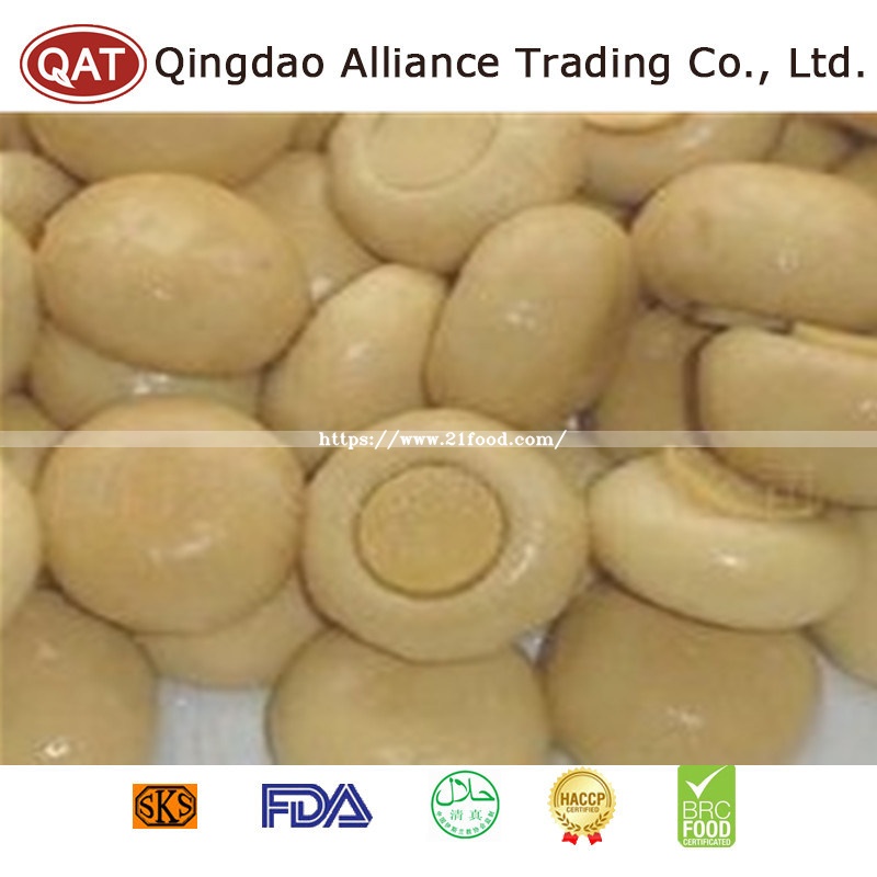 Canned Whole Champignon for Exporting