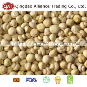 Canned Whole Champignon for Exporting