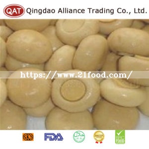 Canned New Crop Wnole Champignon