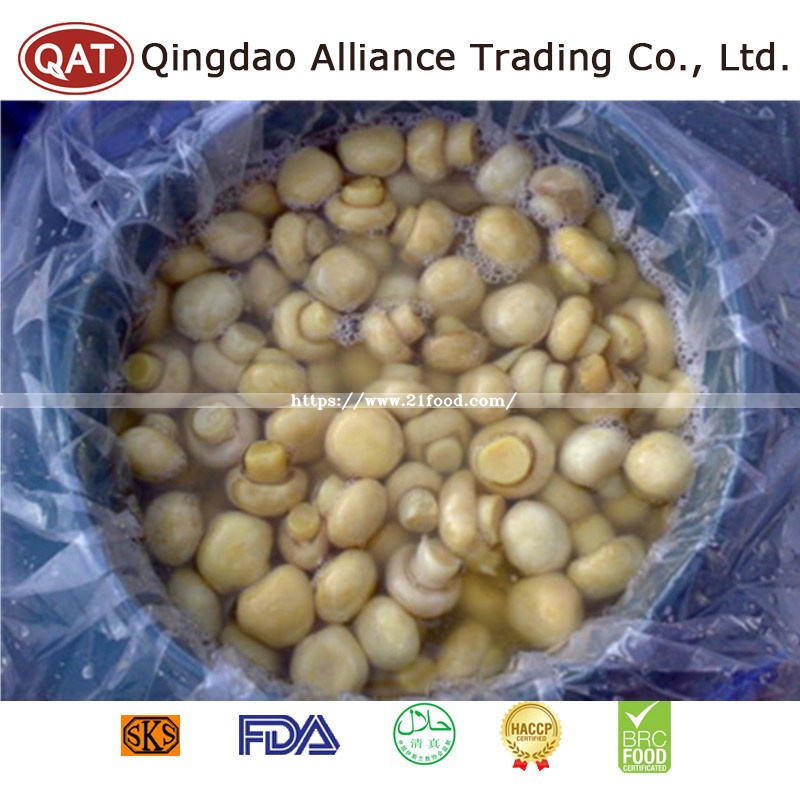 Canned New Crop Wnole Champignon