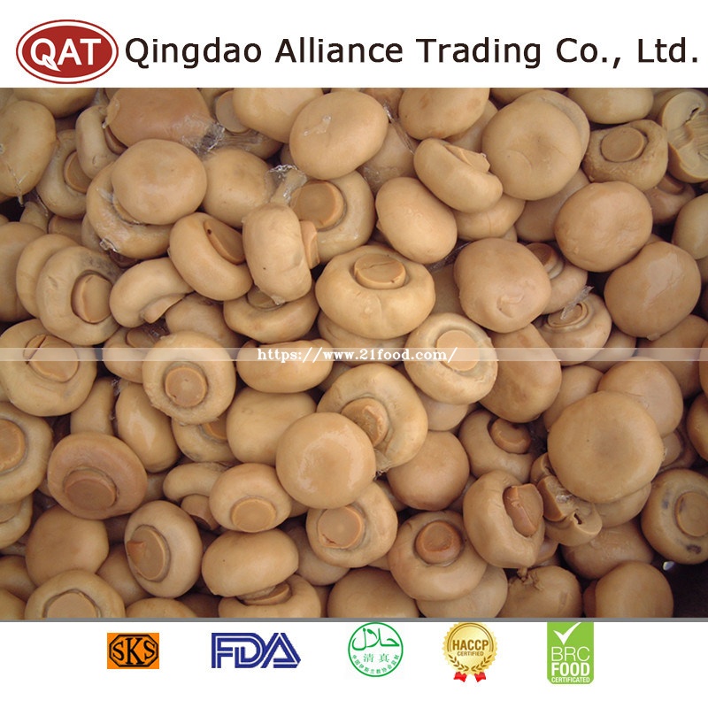 Canned New Crop Wnole Champignon
