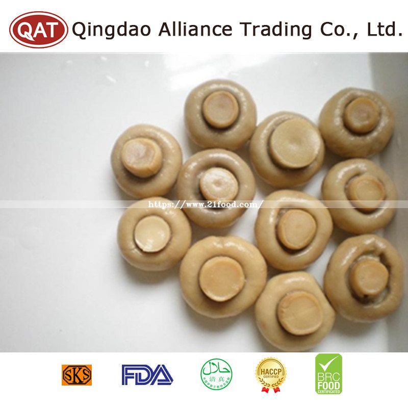 Canned New Crop Wnole Champignon