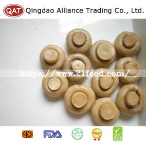 Canned New Crop Wnole Champignon