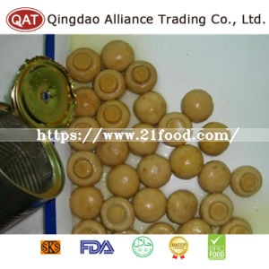 Canned New Crop Wnole Champignon