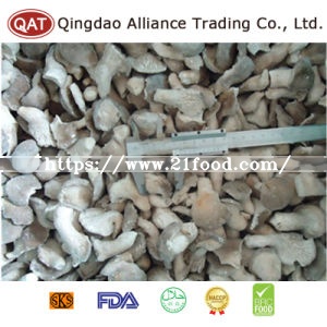 Top Quality Whole Oyster Mushroom