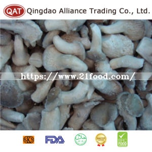 Top Quality Whole Oyster Mushroom