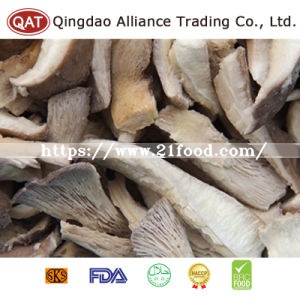 Top Quality Whole Oyster Mushroom